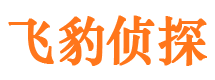 永靖侦探公司